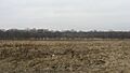 MacNichol Site from River Road