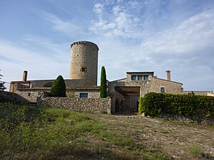Mas Torreportes