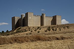 Montealegre de Campos, castillo PM 17738