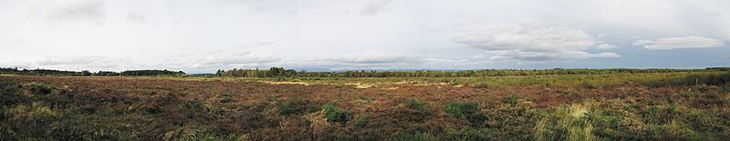 Panorama of the Battle of Culloden