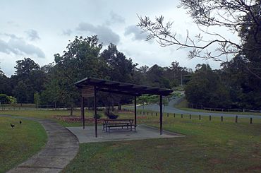Park along Tuxedo Junction Drive, Maudsland, Queensland.jpg
