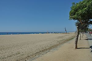 Playa del centro-Malgrat de Mar.jpg