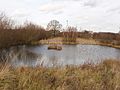 Pond by Horsenden Hill - geograph.org.uk - 678580