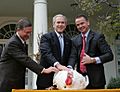 President George W. Bush pardons a turkey 2008