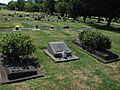 Rob Muldoon grave distant