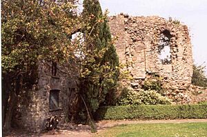 Ruins of Bishop's Palace. Llandaff, Cardiff - geograph.org.uk - 3366
