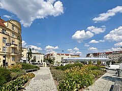 Rynek Łazarski