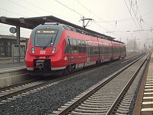 S3 - BR 442 - Bahnhof Neumarkt Oberpfalz - Herbstmorgen