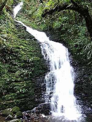 SchoolCreekWaterfall