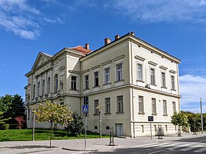 Sremska Mitrovica - Museum of Srem - 2022