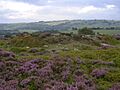 Stanton Moor Cairn T2