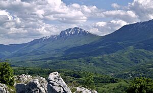 Suva planina UM