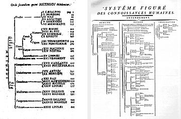 Taxonomy Linné & Diderot