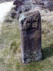 The Face Stone - geograph.org.uk - 24229