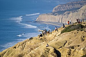 Torrey Pines cliffs