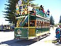Tramway Horse Victor Harbor BF 003