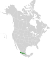 Trans-Mexican Vocanic Belt Pine-Oak Forests map