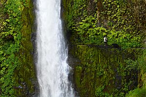 Tunnel Falls. Eagle Creek Trail, Oregon (27869836546).jpg