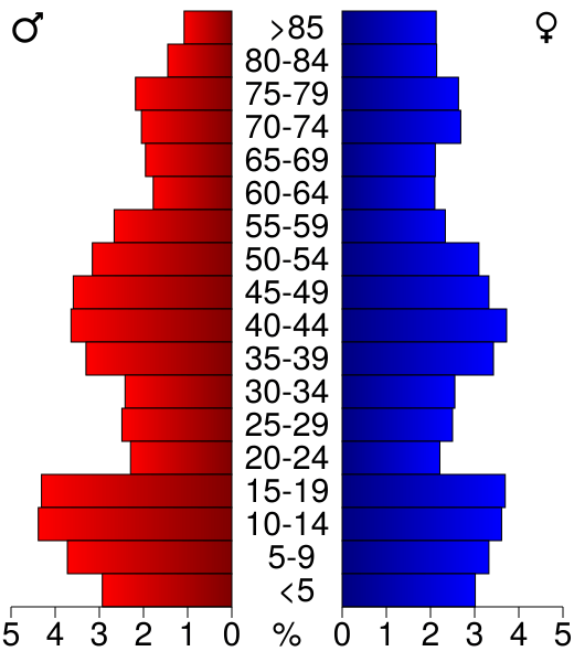 USA Rock County, Minnesota age pyramid