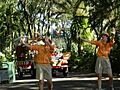 US Animal Kingdom 1211 (26) (17249262505)