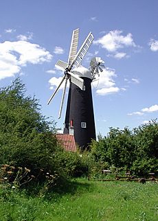 Waltham Mill