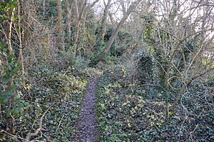 West Pit 2