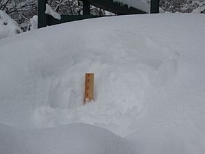 Wilmington, Vermont - Vermont Snowfall Record
