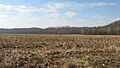 Woodbury Shell Midden site