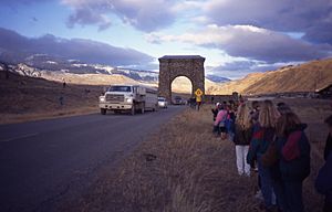 YellowstoneWolfIntroductionGardinerMTJanuary1995