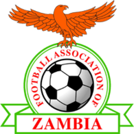 Shirt badge/Association crest
