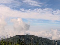 Andrews-bald-from-clingmans-dome