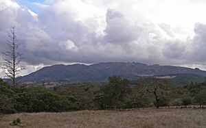 Annadelviewofsonomamtn