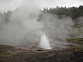 Artesia Geyser (Yellowstone NP)