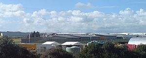 Auckland Region Women's Prison