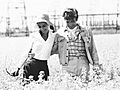Audrey Hepburn & Albert Finney Two for the Road Still