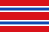 Flag of Moraleja del Vino