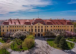 Baroque Palace