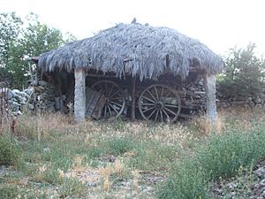 CARROS EN CHOZO