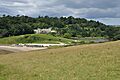 Caerhayes Castle and lake (9261)