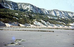 Capel Cliffs and the Warren 1964 - geograph.org.uk - 64712