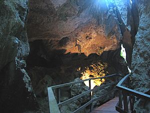 Capricornia Caves2