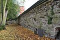 Castle Wall - geograph.org.uk - 2682045