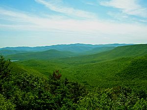 Central Catskills from Twin south summit.jpg