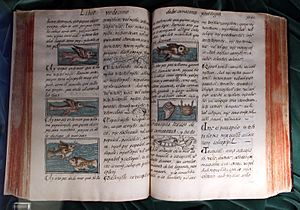 Centro america, bernardino de Sahagún, historia general de las cosas de nueva españa, 1576-77, cod. m.p. 220