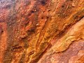 Close up of red rock in the Red Rocks Park, Morrison, Colorado