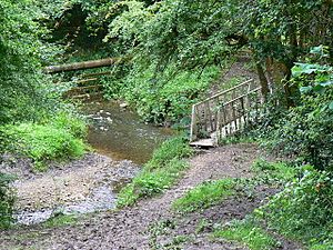 Confluence of streams and a bridge Lower Woods - geograph.org.uk - 486787
