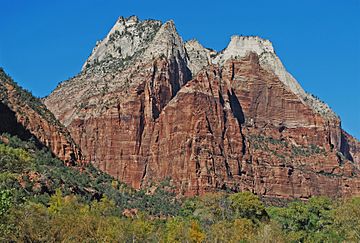 Cottonwoods in Zion Canyon Starting to Turn.jpg