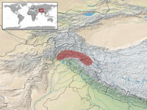 Cyrtopodion stoliczkai distribution.png