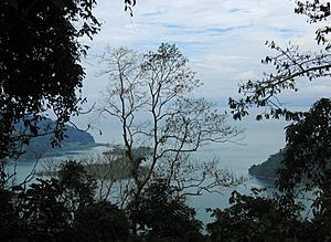A view of Golfito bay from the hill behind Golfito town, with Playa Cacao to the right and the Golfo Dulce in the background (beyond the peninsula)