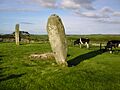 Drumtroddan standing stones - geograph.org.uk - 91414